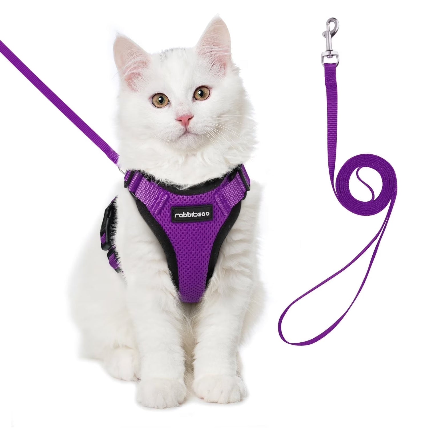 Cat Collars, Harness, Leashes