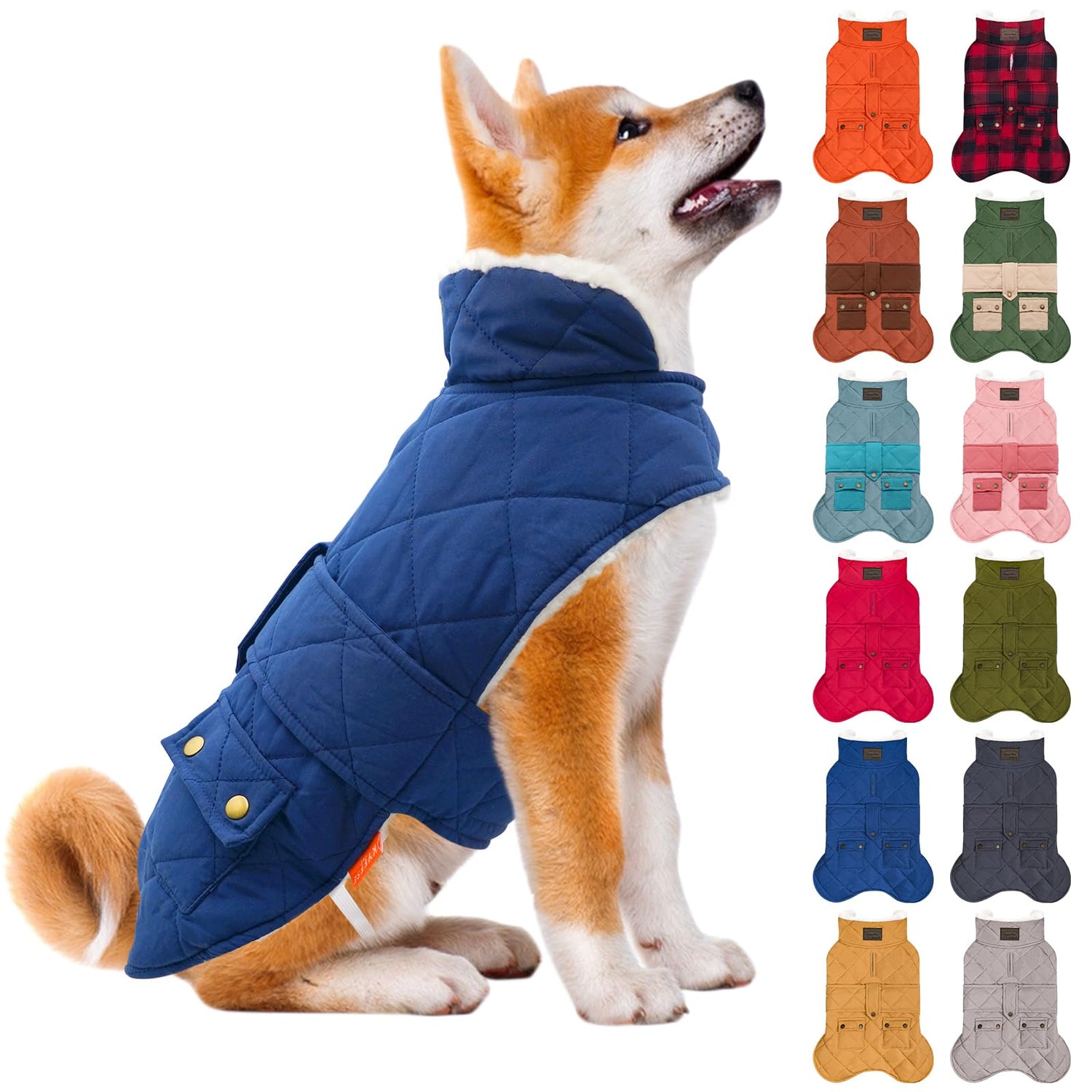 Clothes for Dogs