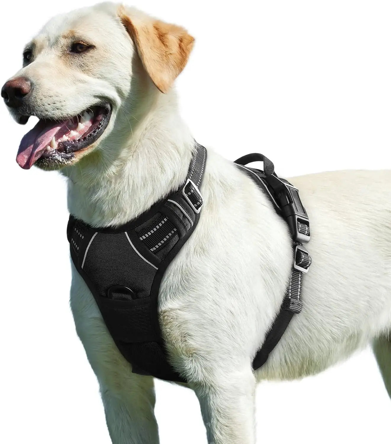 Dog Harness No Pull with 2 Leash Clips, Adjustable Soft Padded, Reflective Oxford No Choke Pet Vest with Easy Control Handle