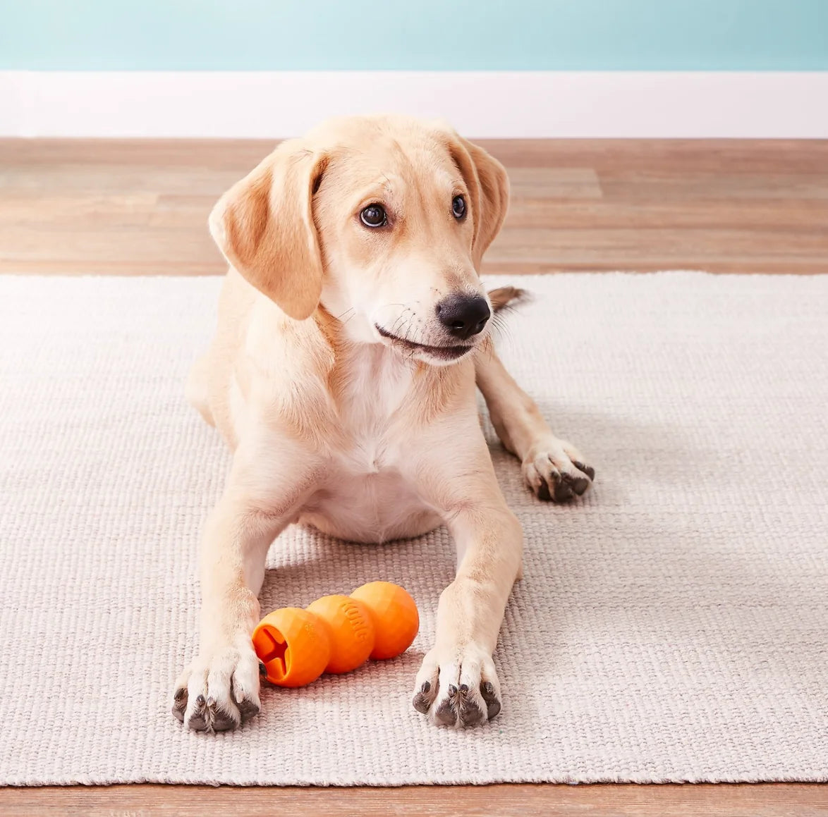 S-Size KONG Genius Mike Dog Toy, Color Varies