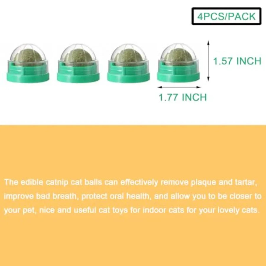 4PCS Catnip Ba for Cats Wall Catnip Toys for Cat Lick Kitten Chew Toys Teeth Cleaning Dental Edible Cat Toys