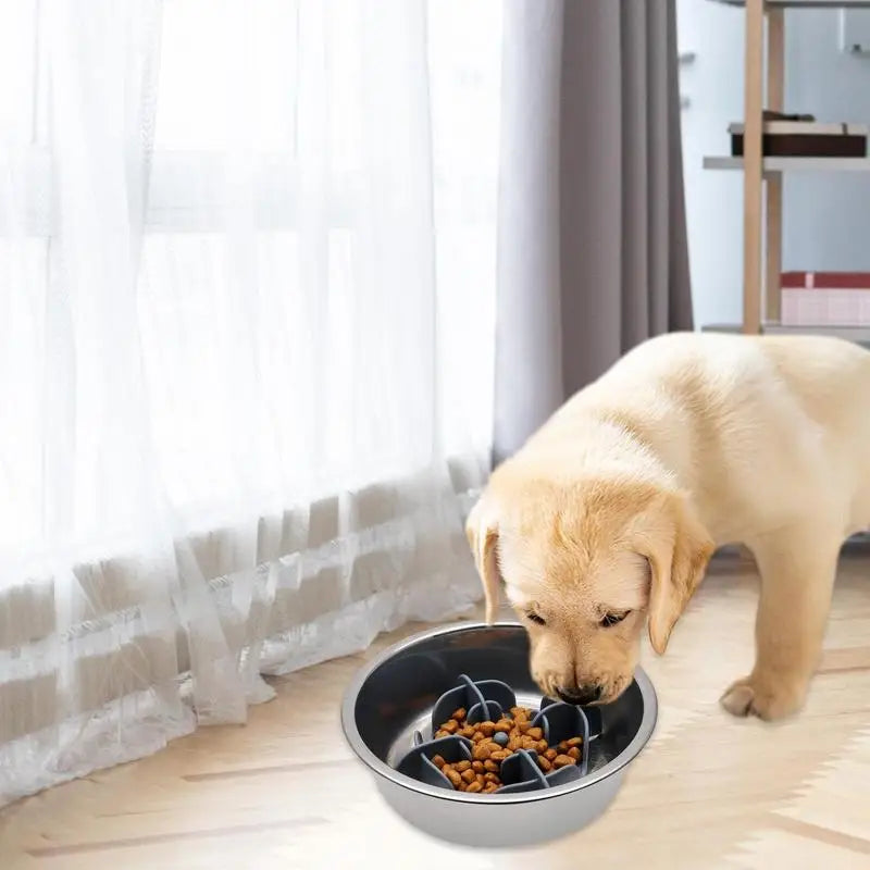 Pet Bowl Slow Feeder | Silicone Dog Slow Feeder Bowl Large Breed | Pet Slower Food Feeding Dishes Interactive Bloat Stop Dog Bow