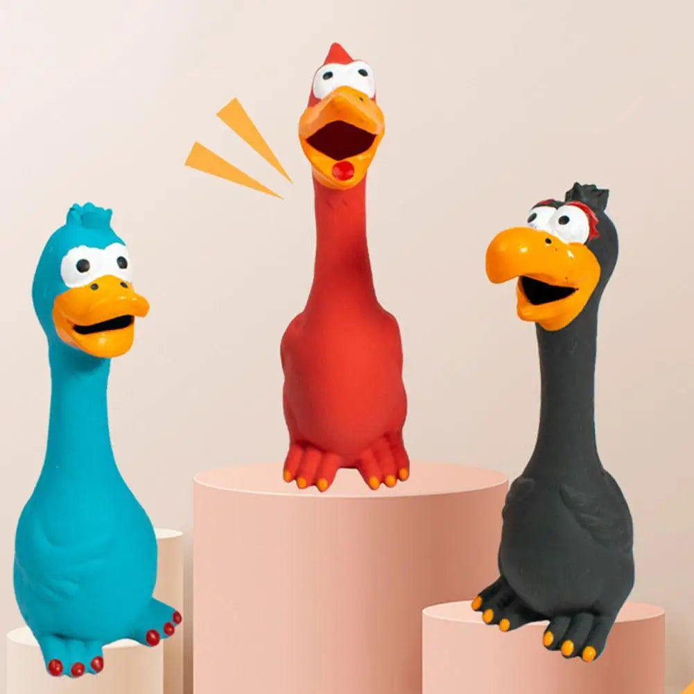 New Squeak Dog Toy Chew Bone Squeaky Ball Chicken Sound Dog Toys Tooth Grinding Training Pet Toy Supplies  Dog Accessories