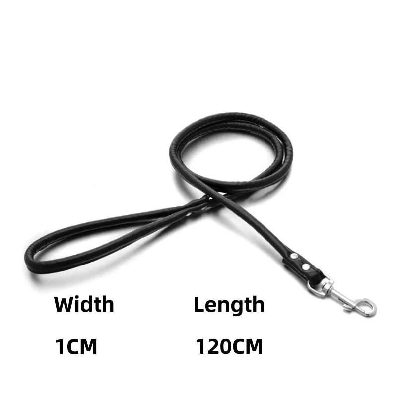 Dog leash leather multicolor pet leash small and medium-sized dog leash