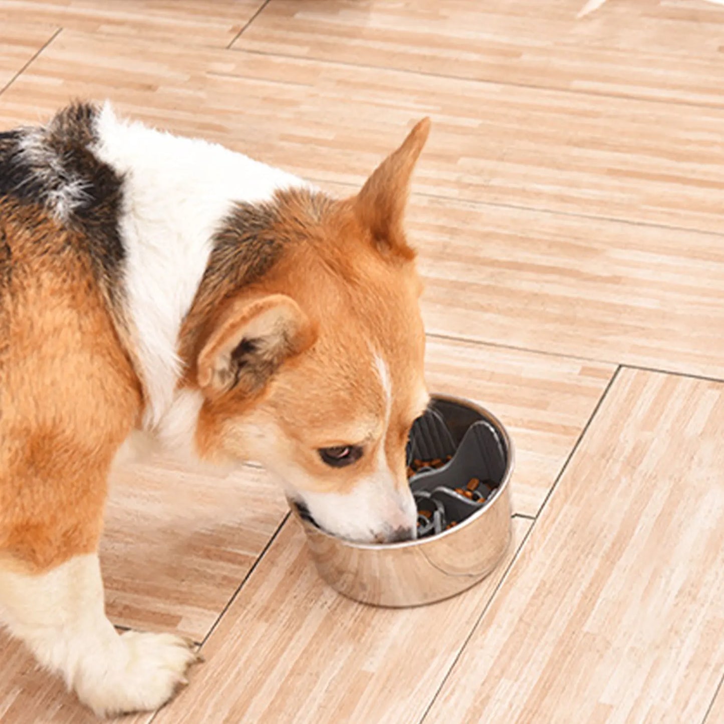 Slow Feeder Dog Bowl Insert Anti-Choke Dog Bowls With Octopus Suckers Dog Pet Feeding Accessories For Small Or Large Dogs To