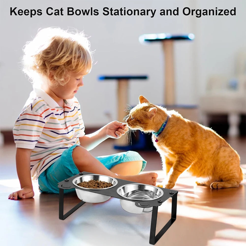 Elevated Cat Food Water Bowls 2 Stainless Steel Bowls with Metal Stand 15° Tilted Raised Cat feeding and water Bowls Pet Puppy