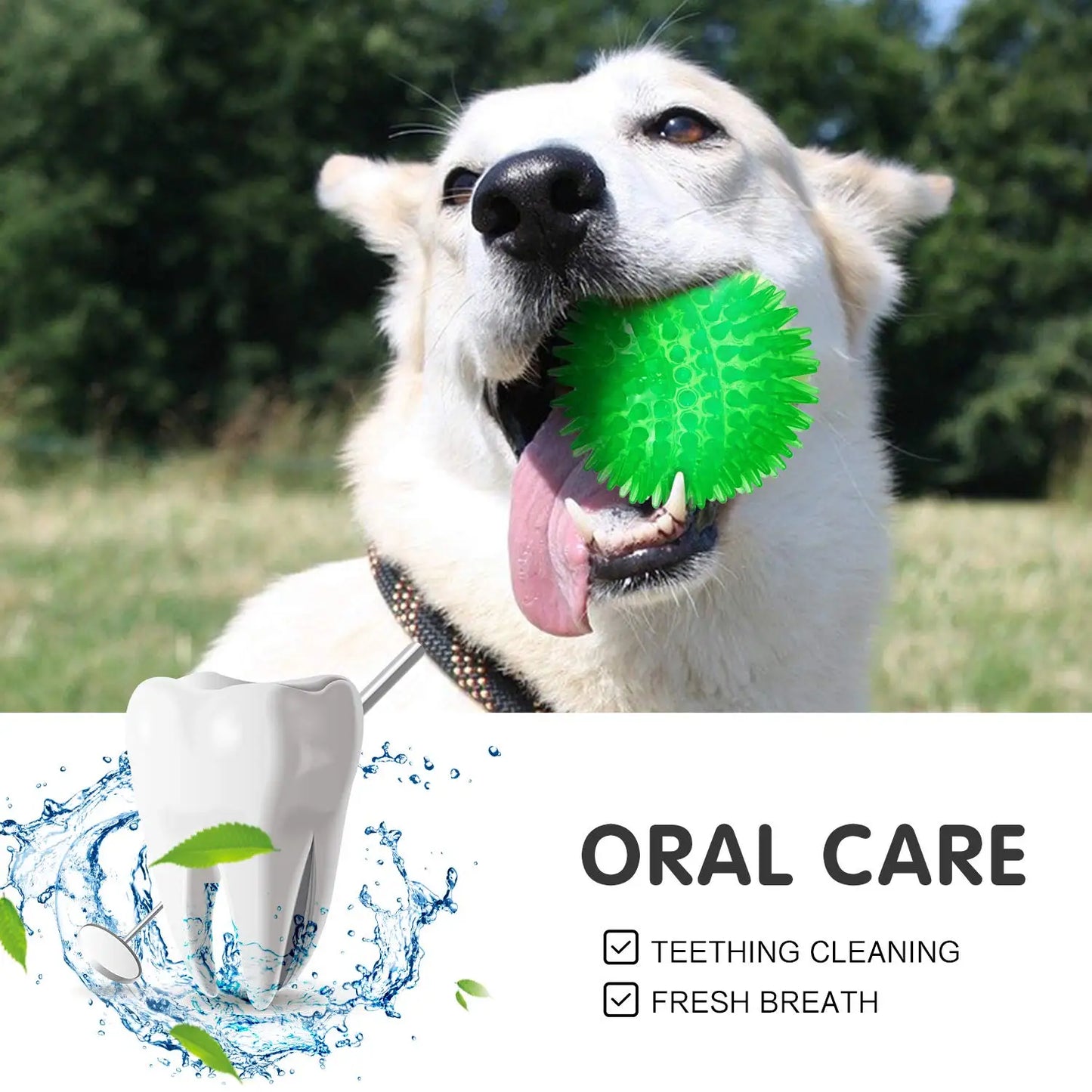 3/6Pcs Squeaky Dog Ball Toys,Dog Chew Balls for Boredom, Floatable Pool Dog Toys,Puppy Teeth Cleaning Toys for Small Medium Dogs