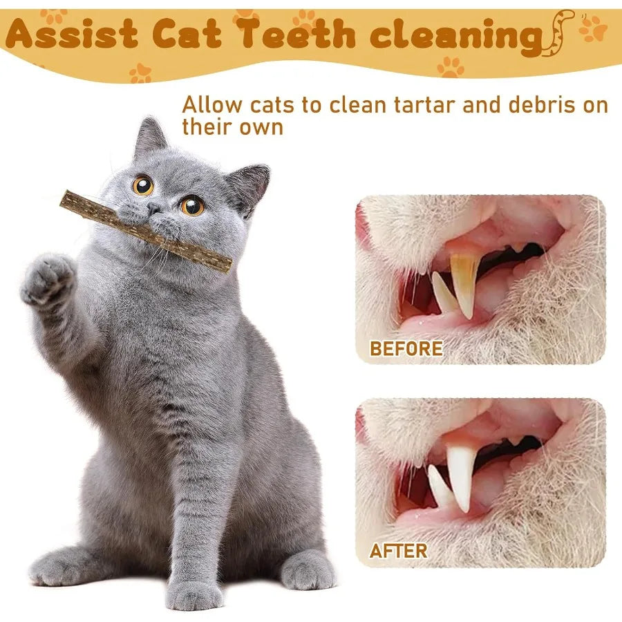 Silvervine Sticks for Cats tural Catnip Matatabi Chew Sticks Teeth Molar Chew Toys for Cat Kitten Kitty at Least 12 PCS