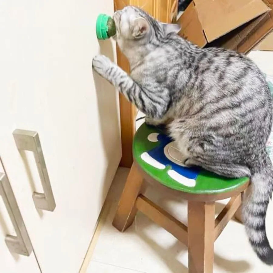 4PCS Catnip Ba for Cats Wall Catnip Toys for Cat Lick Kitten Chew Toys Teeth Cleaning Dental Edible Cat Toys