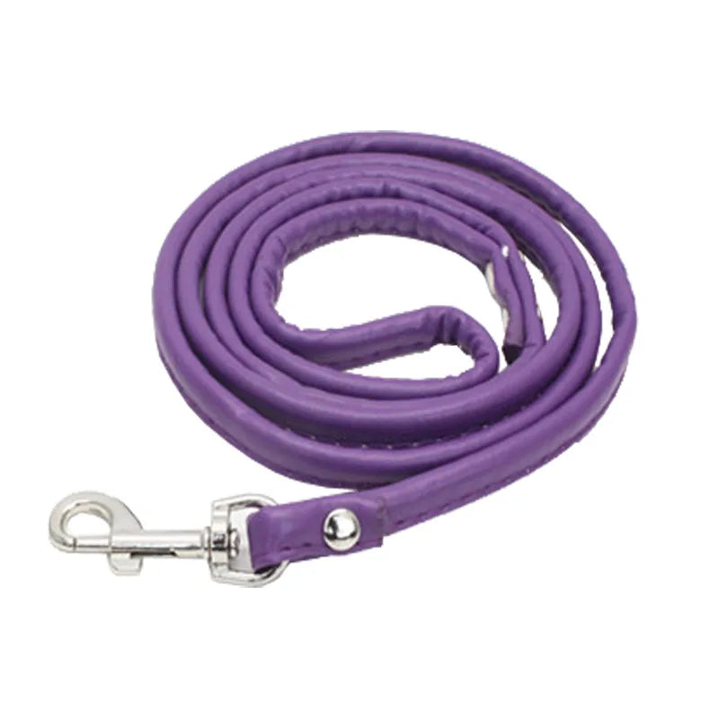 Dog leash leather multicolor pet leash small and medium-sized dog leash