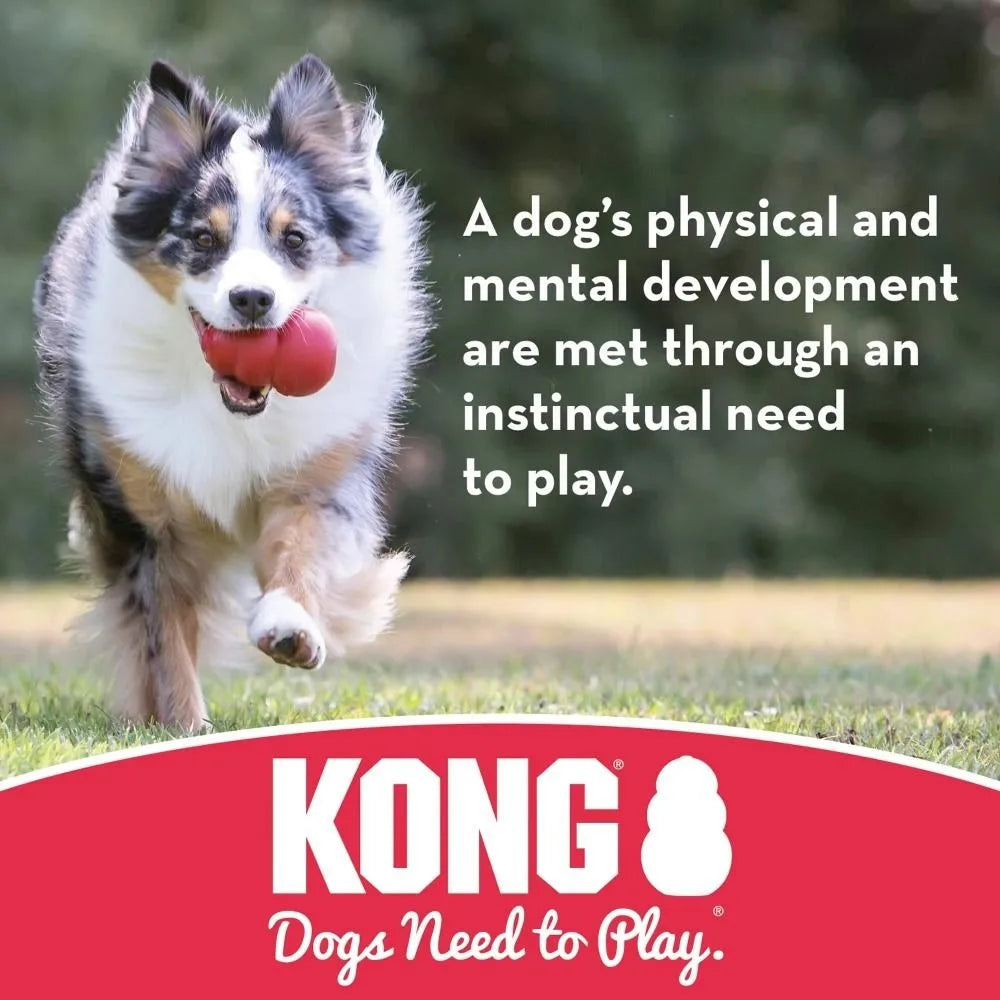2024 Durable Kong Dog Toys Safer Healthy Activity Kong Flyer Outdoor Rubber Flying Disc