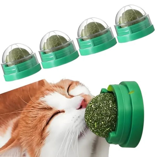 4PCS Catnip Ba for Cats Wall Catnip Toys for Cat Lick Kitten Chew Toys Teeth Cleaning Dental Edible Cat Toys