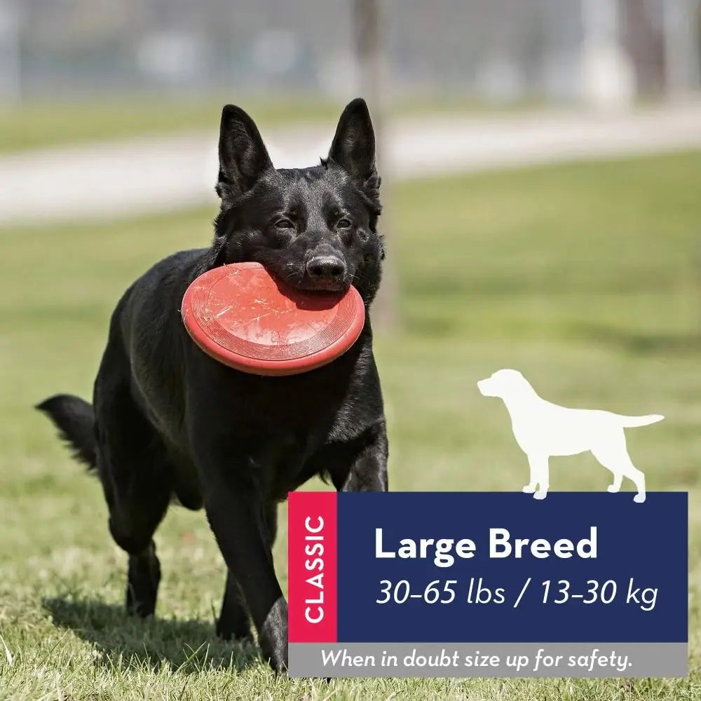 2024 Durable Kong Dog Toys Safer Healthy Activity Kong Flyer Outdoor Rubber Flying Disc