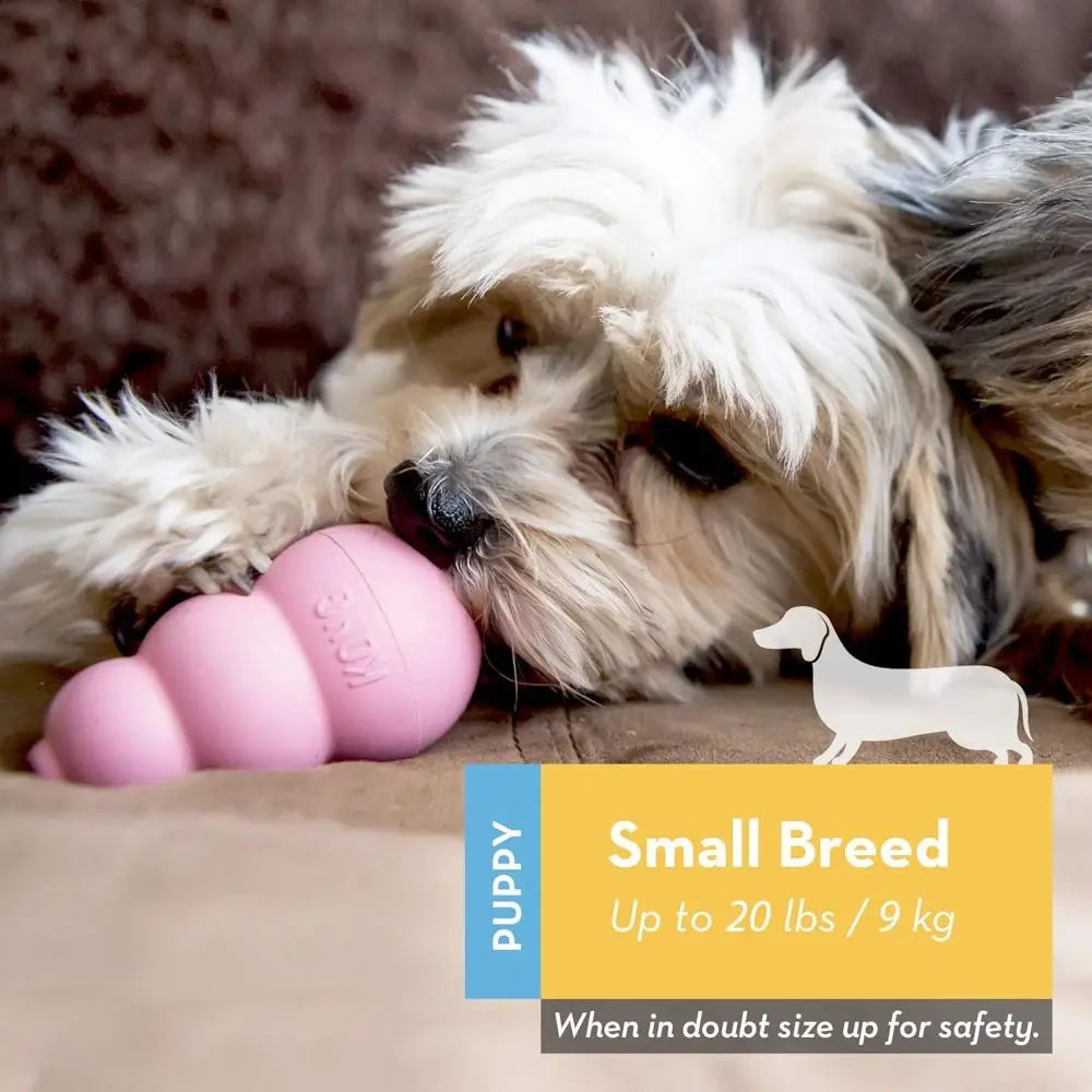 New Classic Kong Dog Erratic Bounce Treat-Filling Capabilities Kong Puppy Rubber Stuffable Fetch Toy