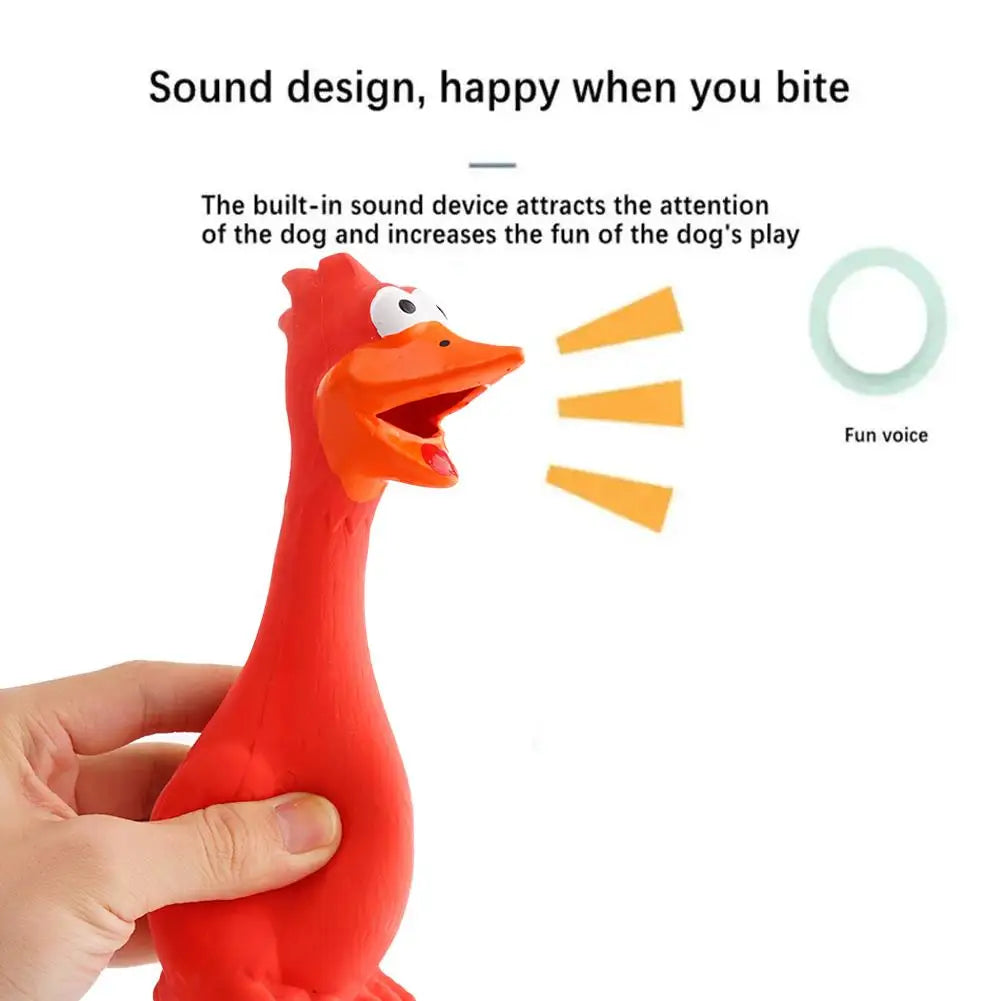 New Squeak Dog Toy Chew Bone Squeaky Ball Chicken Sound Dog Toys Tooth Grinding Training Pet Toy Supplies  Dog Accessories