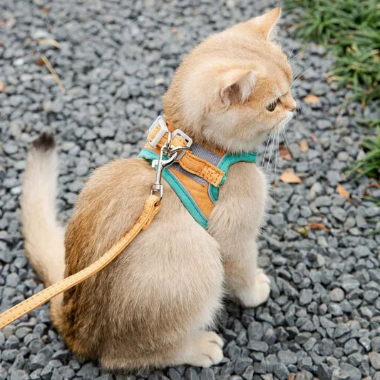Cat Harness Leash Set for Chihuahua Accessories Dog Cat Vest Pug Leashes Walking Tools Walk Out Lead Product Pet collar for cat