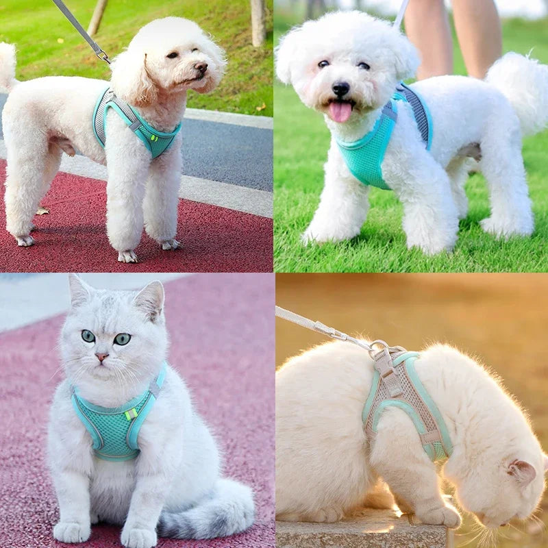 Adjustable Cat Harness Leash Escape Proof Kitten Dog Harness For Cat Small Dog Breathable Cat Harness Lead Leash Pet Accessories