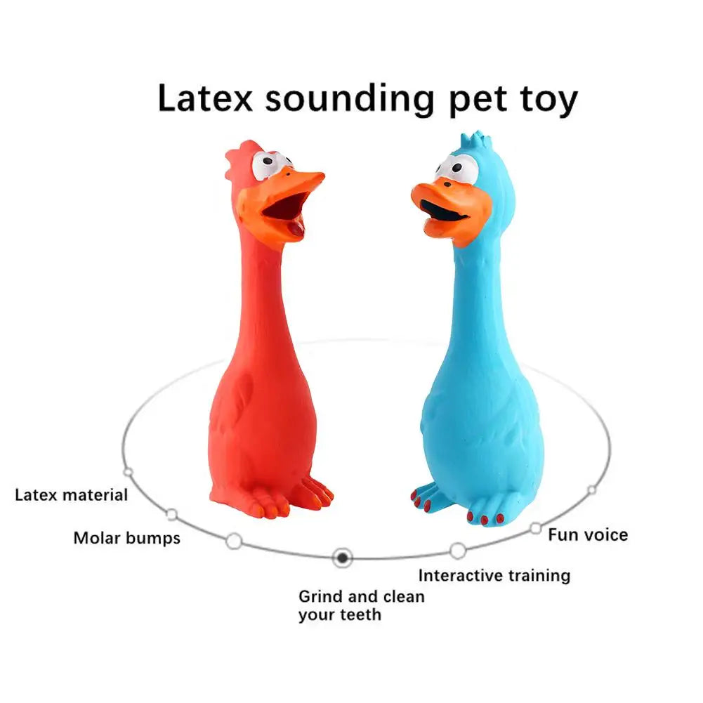 New Squeak Dog Toy Chew Bone Squeaky Ball Chicken Sound Dog Toys Tooth Grinding Training Pet Toy Supplies  Dog Accessories