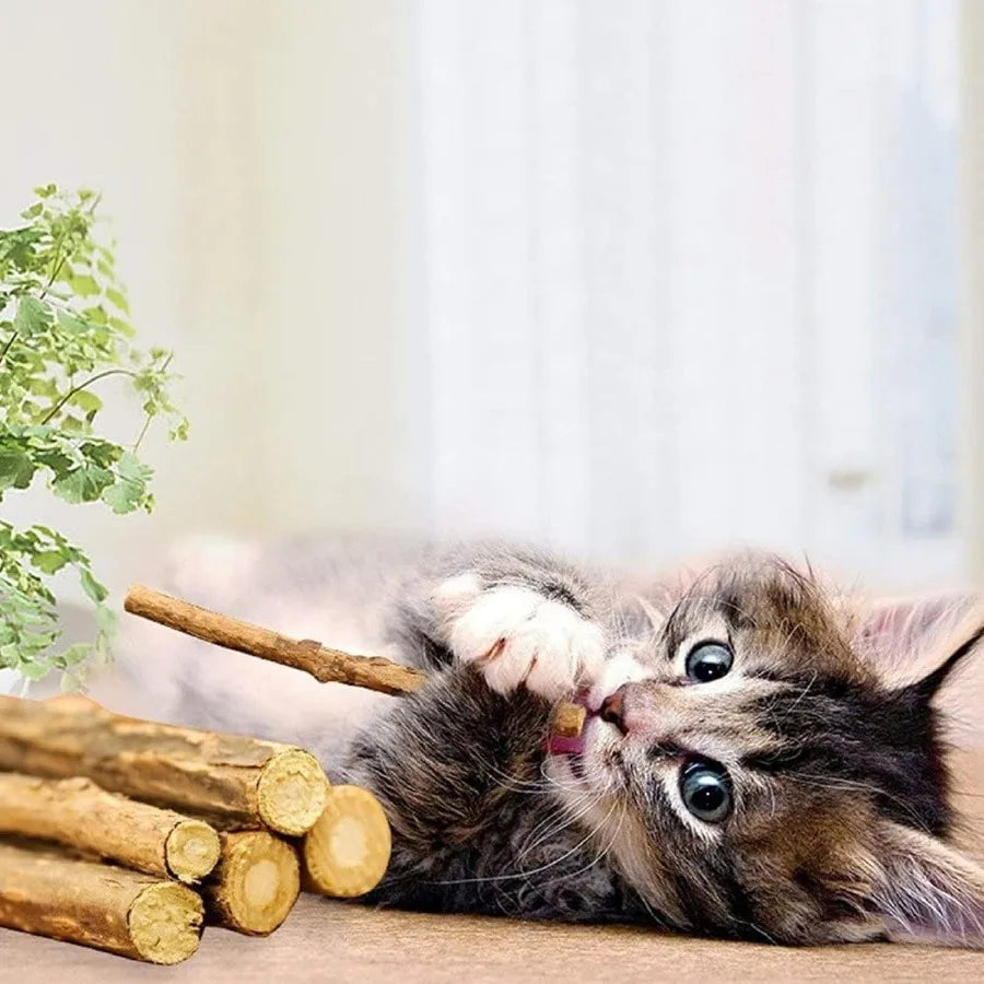 Silvervine Sticks for Cats tural Catnip Matatabi Chew Sticks Teeth Molar Chew Toys for Cat Kitten Kitty at Least 12 PCS
