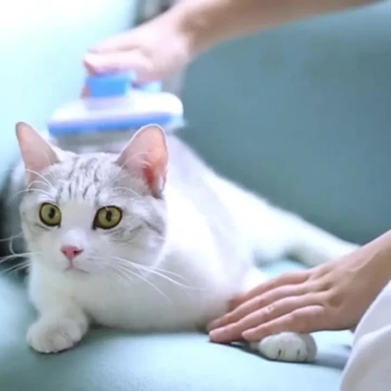 One-Button Pet Deshedding Brush- Tangle-Free Shedding Tool for Cats & Dogs, Removes Loose Hair, Easy Clean (Blue/Green)