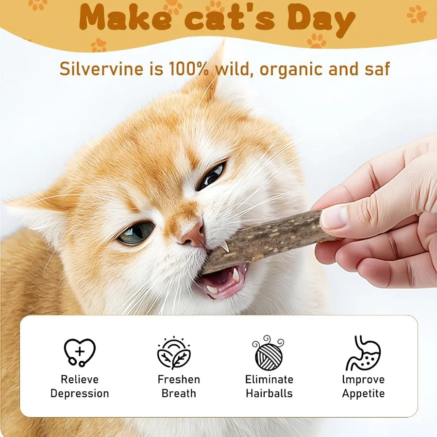 Silvervine Sticks for Cats tural Catnip Matatabi Chew Sticks Teeth Molar Chew Toys for Cat Kitten Kitty at Least 12 PCS
